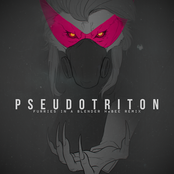 Pseudotriton (FIAB HxBEE Remix)