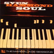 Spinning Out by Sven Hammond Soul