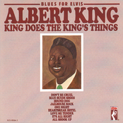 Love Me Tender by Albert King