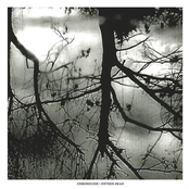 Chronocide / Fifteen Dead