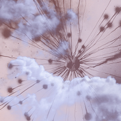 Taivaallinen Kiertokulku