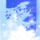 Søgen Ad Brugte Ruter