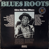 Blues Roots - Give Me The Blues