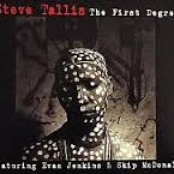 The First Degree (feat. Skip McDonald, Evan Jenkins)