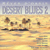 Rêves d'Oasis: Desert Blues 2
