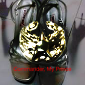Commander, My Prince