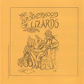 brotherhood of lizards
