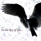 In The Key Of Life