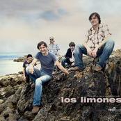 los limones