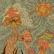 please don't step on frogs