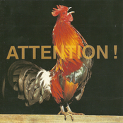 Attention!