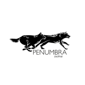Penumbra