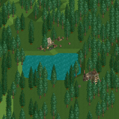 Forest Frontiers