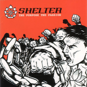 The Purpose, The Passion by Shelter