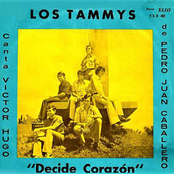 Decide Corazón