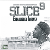 Slice 9