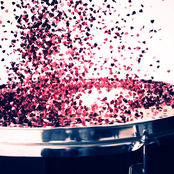 Your Drums, Your Love