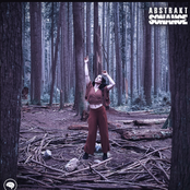 Abstrakt Sonance: Feel Myself Again