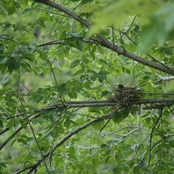 Best of YouTube, Vol. 1