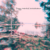 Foggy Mental Breakdown
