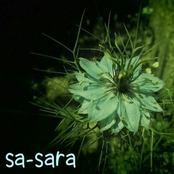 sa-sara