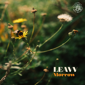 Morrow