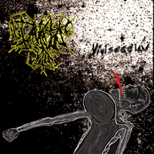 Vivisección
