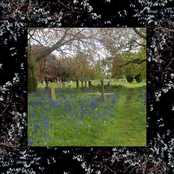 Natural Selections: Romans