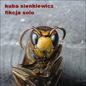 Fikcja solo