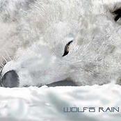 wolfs rain