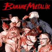 Sex, Blood and Gore 'N' Roll