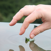 Hand crafted Messiah