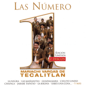 Mariachi Vargas De Tecalitlan: Las Numero 1 Del Mariachi Vargas De Tecalitlan