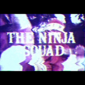 THE NINJA SQUAD