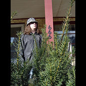 Lookin Thru Ya Window