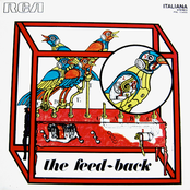 The Feed-Back