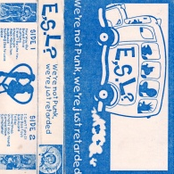 We're Not Punk, We're Just Retarded