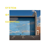 Moovin Groovin by System Of Survival