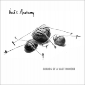 Shades Of A Vast Moment