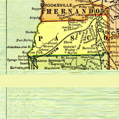 Pasco's Wager ／／ DMT-081