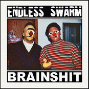 Endless Swarm/Brainshit - Split