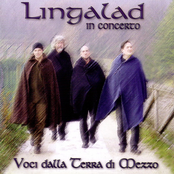 Voci dalla terra di mezzo (In concerto)