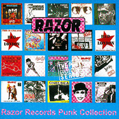 Chron Gen: Razor Records: The Punk Singles Collection