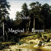 Dark Souls-Magical Forest