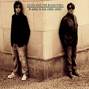 Ticket To Ride by Echo & The Bunnymen