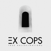 Ex Cops: True Hallucinations