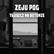 Tłuszcz na betonie