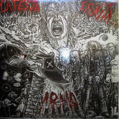 La Festa è Finita...L'Avventura Continua!