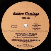 golden flamingo orchestra