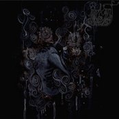 Demo 2010 Artwork